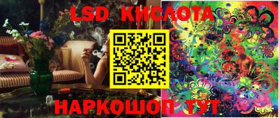 шишки Будённовск
