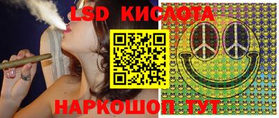 шишки Будённовск