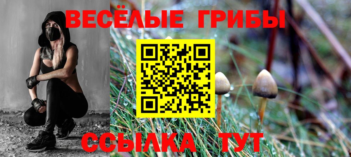 Краснознаменск  Галлюциногенные грибы мухоморы  Вход с VPN  Галлюциногенные грибы Cubensis 